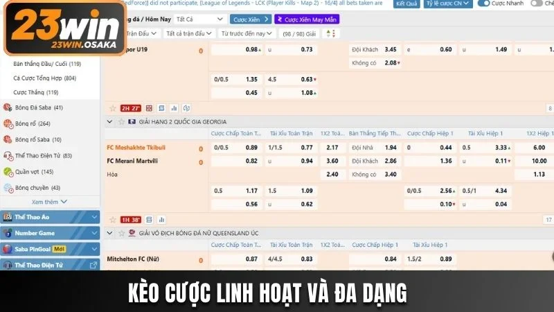 Sân chơi sở hữu bảng kèo cược phong phú  